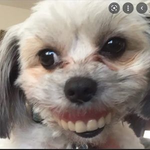 Meet your Posher, Nikolina